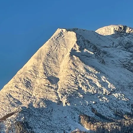 W5 Haus Ganghofer Apartment Leutasch