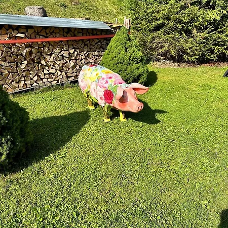 W5 Haus Ganghofer شقة *